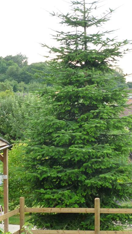 그레이브젠드 Hopewell Self-Catering 아파트 외부 사진